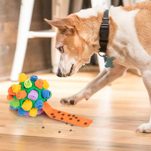 Paworae™ SnuffleMaster - Interactive Treat Toy