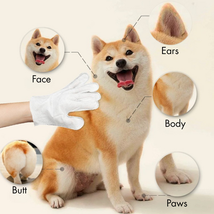 Paworae™ Deodorizing Cat & Dog Grooming Glove Wipes