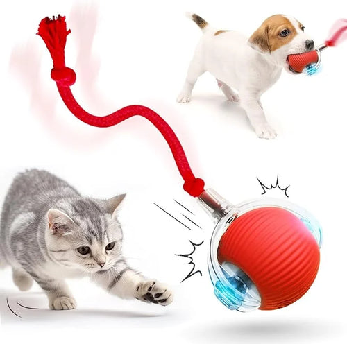 Paworae™  Bouncetug Play Ball – Interactive Pet Toy