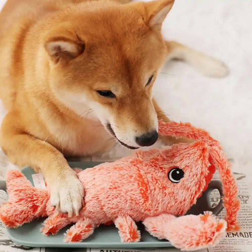 Paworae™ Wiggly Lobster - Interactive Dog Toy