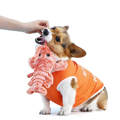 Paworae™ Wiggly Lobster - Interactive Dog Toy