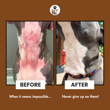 Paworae™ Deodorizing Cat & Dog Grooming Glove Wipes