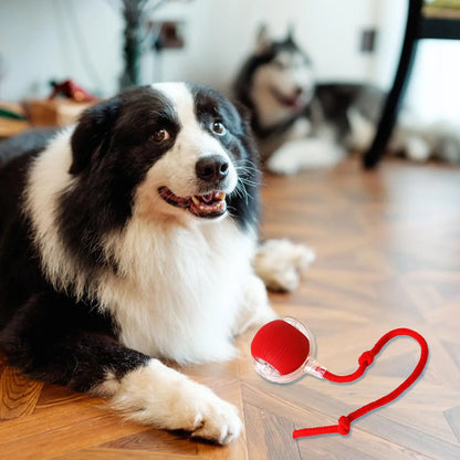 Paworae™  Bouncetug Play Ball – Interactive Pet Toy