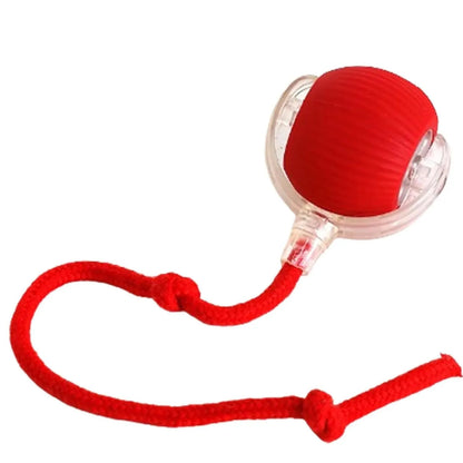 Paworae™  Bouncetug Play Ball – Interactive Pet Toy