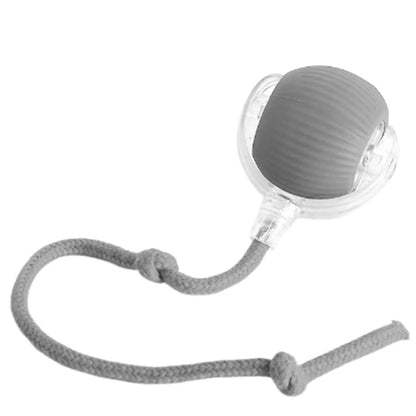 Paworae™  Bouncetug Play Ball – Interactive Pet Toy