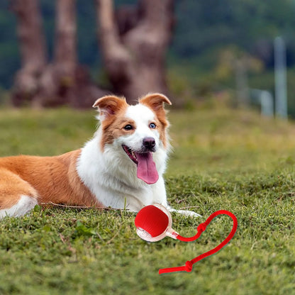 Paworae™  Bouncetug Play Ball – Interactive Pet Toy